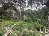 Vente  Terrain de 20000 m² à Puget sur Argens 213 000 euros