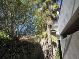 Vente  Local commercial de 49 m² à Fréjus 195 000 euros