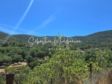 Vente  Terrain de 2009 m² à Solliès Toucas 249 000 euros