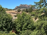 Vente  Maison de 70 m² à Roquebrune sur Argens 169 000 euros