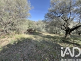 Vente  Terrain de 928 m² à Callian 175 000 euros