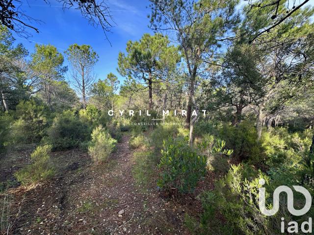 Vente  Terrain de 8590 m² à Six-Fours 100 000 euros Réf: SFN-1655676