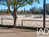 Vente  Maison de 105 m² au Luc 627 000 euros