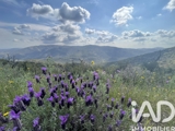 Vente  Terrain de 39120 m² à Vidauban 10 300 euros