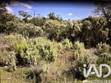 Vente  Terrain de 10077 m² à Sainte Maxime 13 000 euros