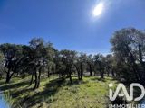 Vente  Terrain de 3231 m² à Sainte Maxime 1 480 000 euros