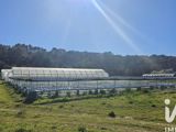 Vente  Terrain de 2806 m² à Lorgues 100 000 euros