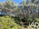 Vente  Terrain de 7325 m² à La Cadière d'Azur 39 000 euros