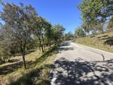 Vente  Terrain de 18590 m² à Claviers 30 000 euros
