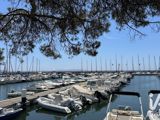 Vente  Maison de 175 m² à La Londe les Maures 894 000 euros