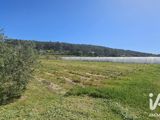 Vente  Local commercial de 8630 m² à Lorgues 250 000 euros