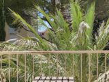 Vente  Appartement F3  de 60 m² à La Valette du Var 177 000 euros