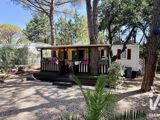 Vente  Terrain de 80 m² à Puget sur Argens 32 500 euros