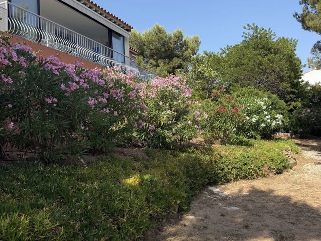 Vente  Maison de 240 m² à Bandol 1 249 000 euros Réf: SFN-2063359