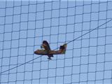 Un défilé de canadair toute l'après-midi