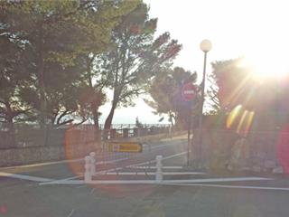 Sanary: Prudence avenue Frédéric Mistral