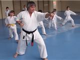 Six-Fours : un stage de karaté au profit d'Un dojo pour Réo.
