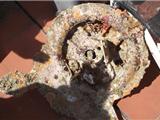 Sanary; un drôle d'objet retrouvé dans les filets d'un pêcheur
