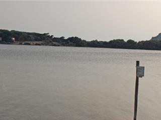 Le Brusc : Une zone Natura 2000?