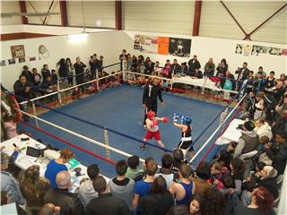 Six-Fours: un beau palmarès pour le Boxing Club