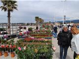 Une (toute petite) foire aux plants  a agrémenté l'habituel marché des Lônes.