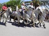Dimanche: Grande Féria des Embiez