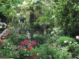 Six-Fours: Concours de jardins et balcons fleuris
