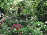 Six-Fours: Concours de jardins et balcons fleuris
