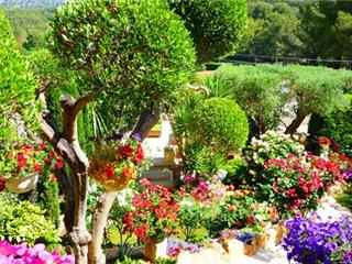 Sanary: Concours des jardins & balcons fleuris édition 2015