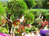 Sanary: Concours des jardins & balcons fleuris édition 2015
