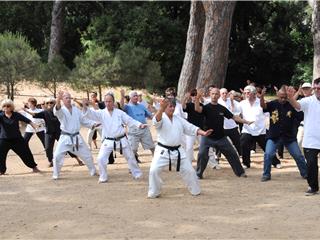 21ème Fête du Taï Chi
