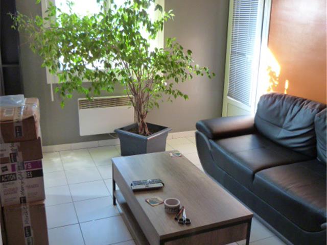 Location  Appartement F3  de 62 m² à La Seyne 675 euros Réf: SFN-9